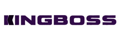 KINGBOSS